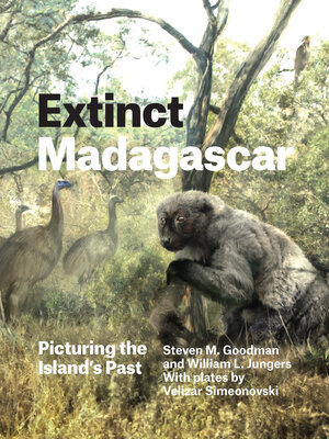 cover image of Extinct Madagascar